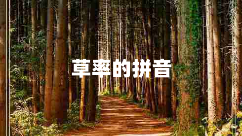 草率的拼音