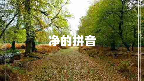 凈的拼音