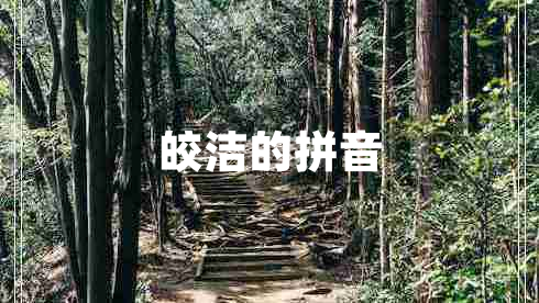 皎潔的拼音