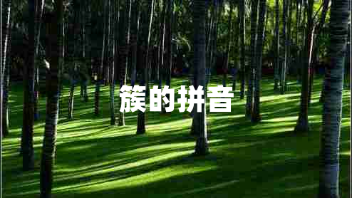 簇的拼音