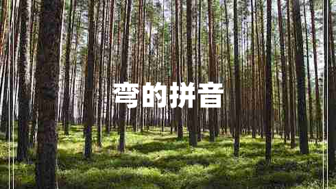 彎的拼音