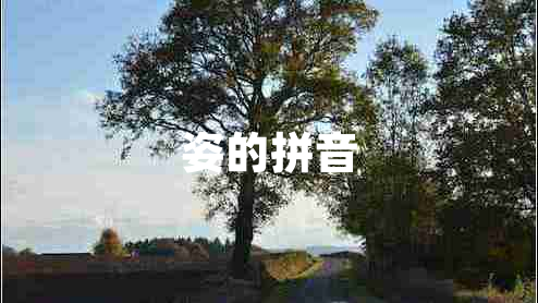 姿的拼音