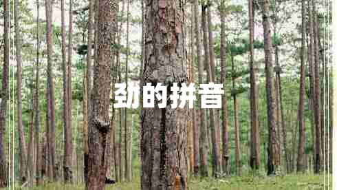勁的拼音