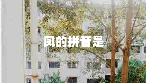 鳳的拼音是