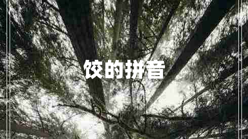 餃的拼音