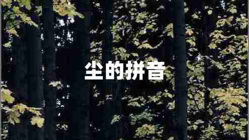塵的拼音