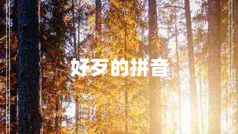 好歹的拼音