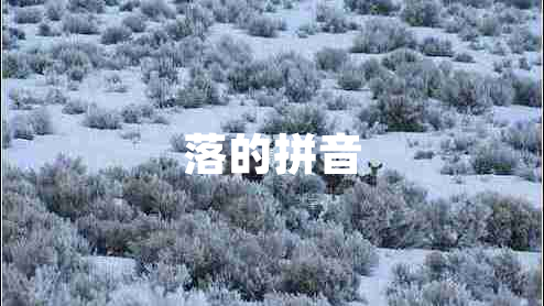 落的拼音