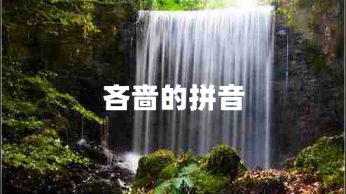 吝嗇的拼音