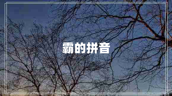霸的拼音