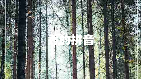 秀的拼音