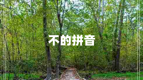 不的拼音
