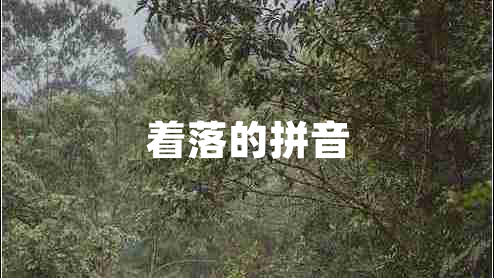 著(zhù)落的拼音
