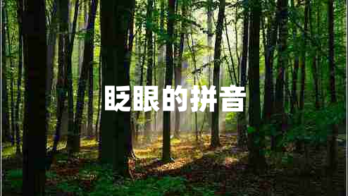 眨眼的拼音