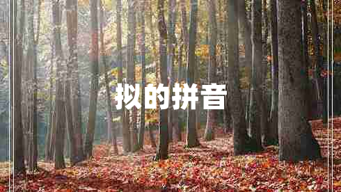 擬的拼音