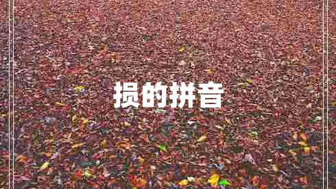損的拼音
