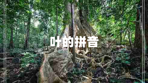 葉的拼音