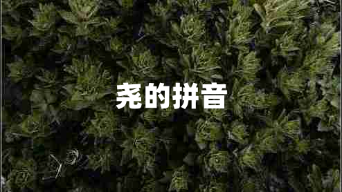 堯的拼音