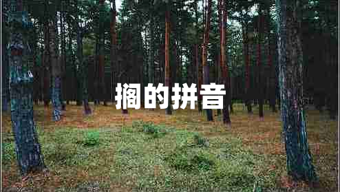擱的拼音