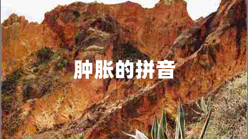 腫脹的拼音