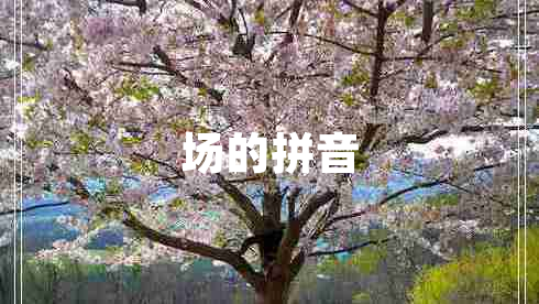 場(chǎng)的拼音