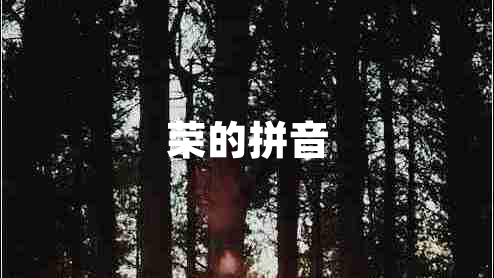 榮的拼音