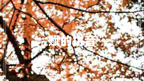 賦的拼音