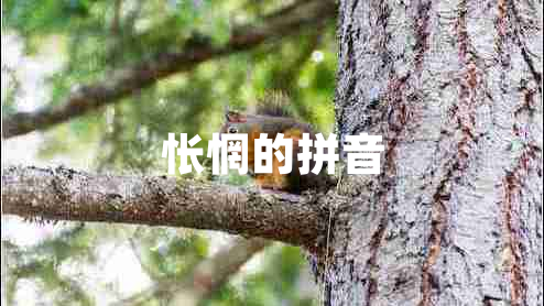 悵惘的拼音