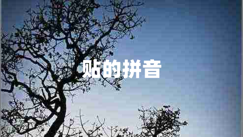 貼的拼音