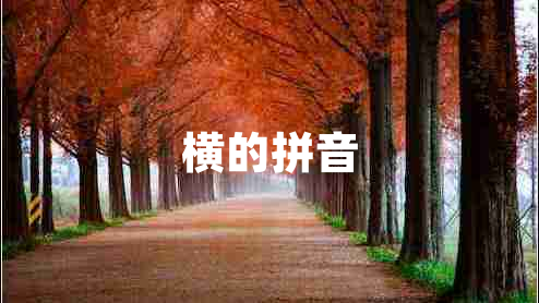 橫的拼音