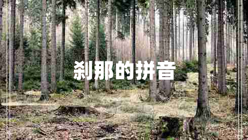 剎那的拼音