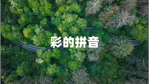 彩的拼音