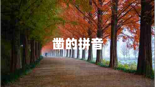 鑿的拼音
