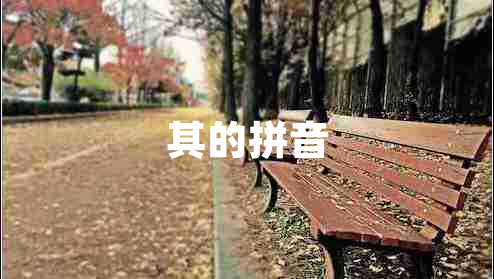 其的拼音