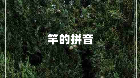 竿的拼音
