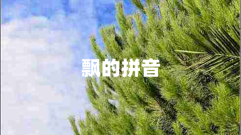 飄的拼音