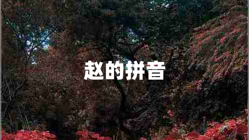 趙的拼音