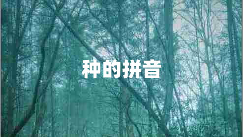 種的拼音