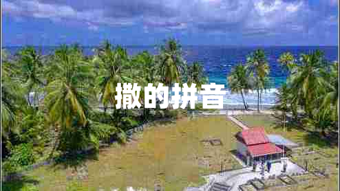 撒的拼音