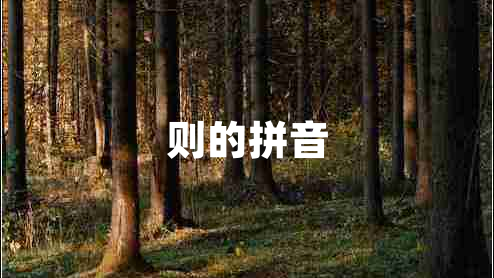 則的拼音