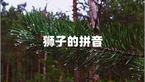 獅子的拼音