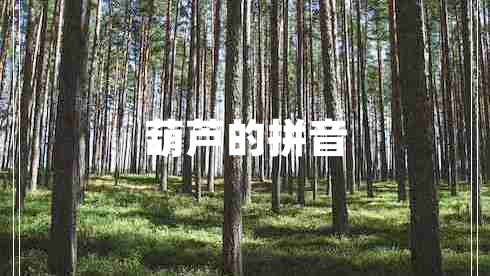 葫蘆的拼音