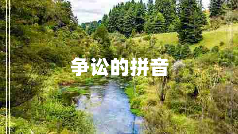 爭訟的拼音