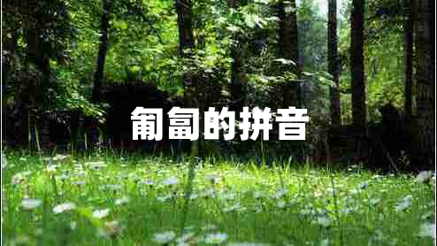 匍匐的拼音