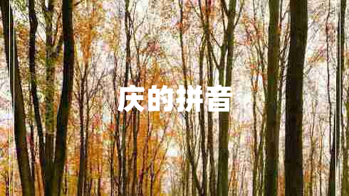 慶的拼音