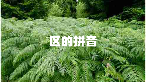 區的拼音