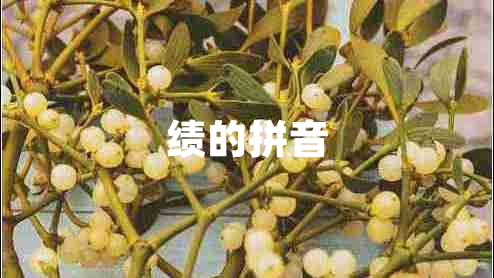 績(jì)的拼音