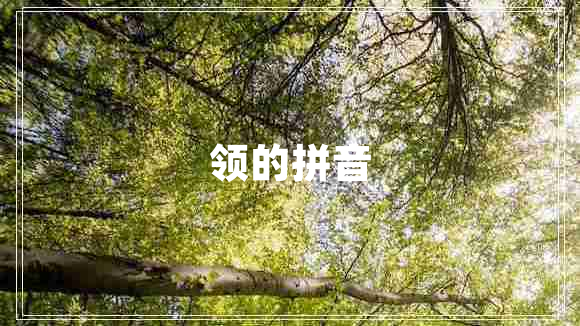 領(lǐng)的拼音