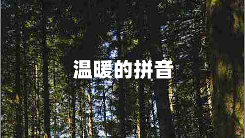 溫暖的拼音