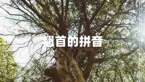 翹首的拼音
